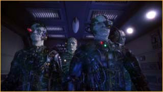 Borgs