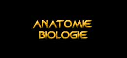 Anatomie et biologie