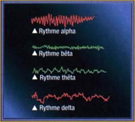Ondes cérébrale