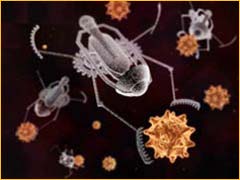 Nanosonde