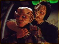 Fallit Kot et Quark