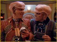 Brunt et Quark