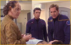 Phlox et Novakovich