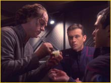 Dr Phlox