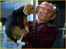 Porthos, Ferengi