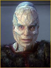 D'Marr