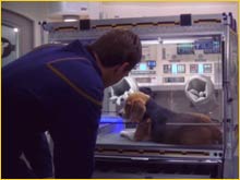 Porthos malade