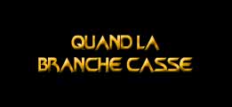 Quand la branche casse
