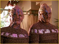 Vorgons