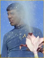 Spock et les spores