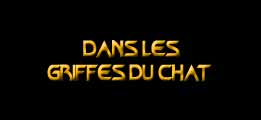 Dans les griffes du chats