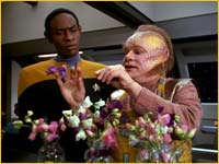 Neelix et Tuvok