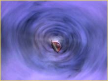 Vortex